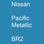 Preview: Nissan, Pacific Metallic, BR2.